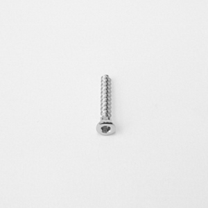 VITE SPONGIOSA DM. 3,5 - L. 24 MM