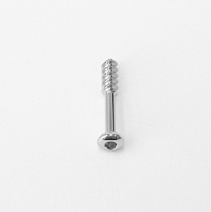 VITE SPONGIOSA  DM. 4,00 - L. 24 MM SHORT