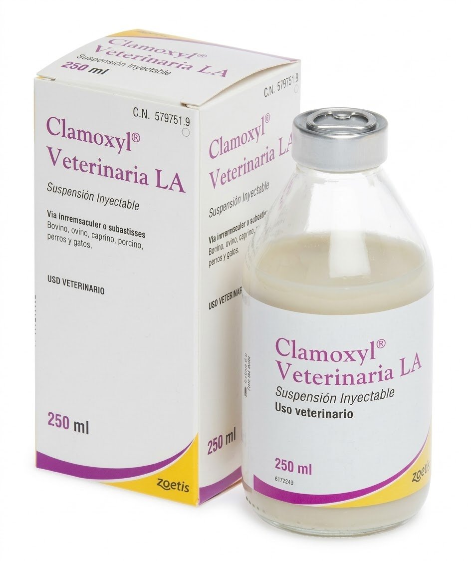 CLAMOXYL L.A 250 ML