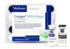 canigem-puppy