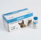 nobivac-rabbia-10