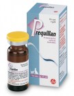 prequillan-10