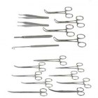 set-cane
